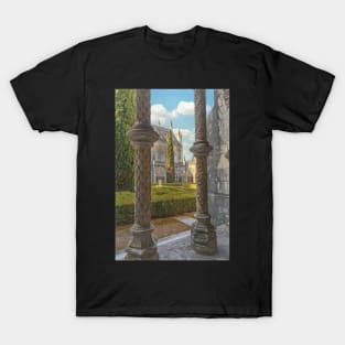 View From the Cloisters T-Shirt